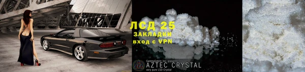 ГАЛЛЮЦИНОГЕННЫЕ ГРИБЫ Аркадак