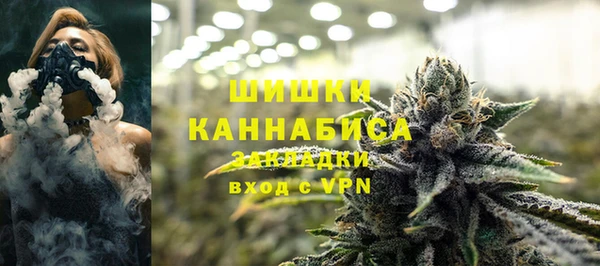 гидра Арсеньев