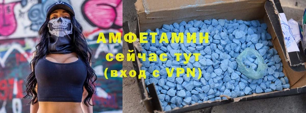 гидра Арсеньев