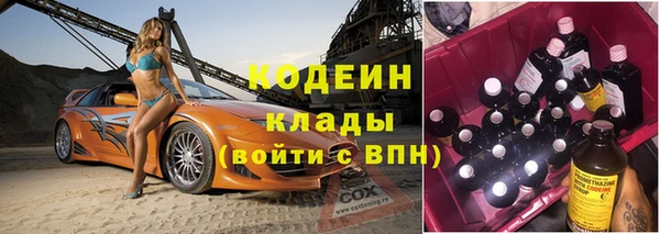 ГАЛЛЮЦИНОГЕННЫЕ ГРИБЫ Аркадак