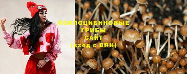 гидра Арсеньев