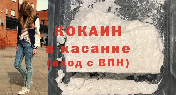 гидра Арсеньев