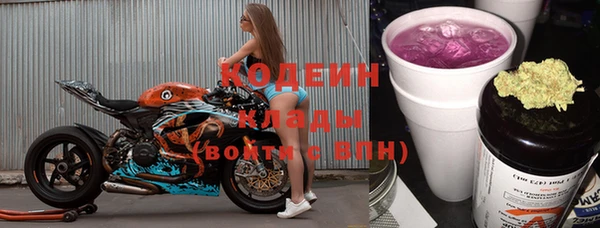 ГАЛЛЮЦИНОГЕННЫЕ ГРИБЫ Аркадак