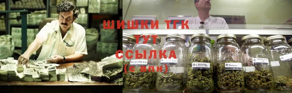 ГАЛЛЮЦИНОГЕННЫЕ ГРИБЫ Аркадак