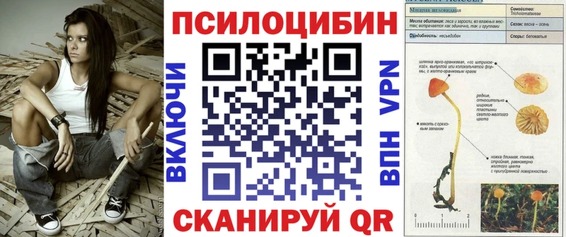 купить наркотики сайты  Берёзовский  OMG зеркало  даркнет как зайти  Галлюциногенные грибы MAGIC MUSHROOMS 